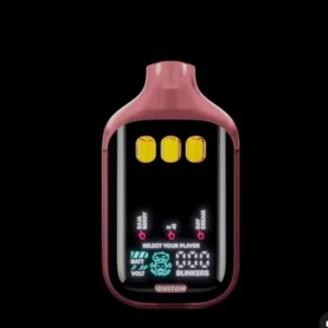 Baja Berry | x 41 | Day Dream - Boutiq switch